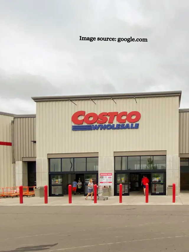 10 Best Costco Asian Food that You Need to Try