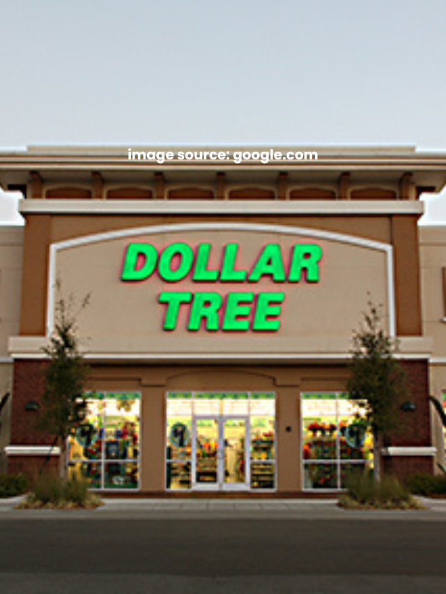 10 Cheap Dollar Tree Essentials You Won’t Find Anywhere Else