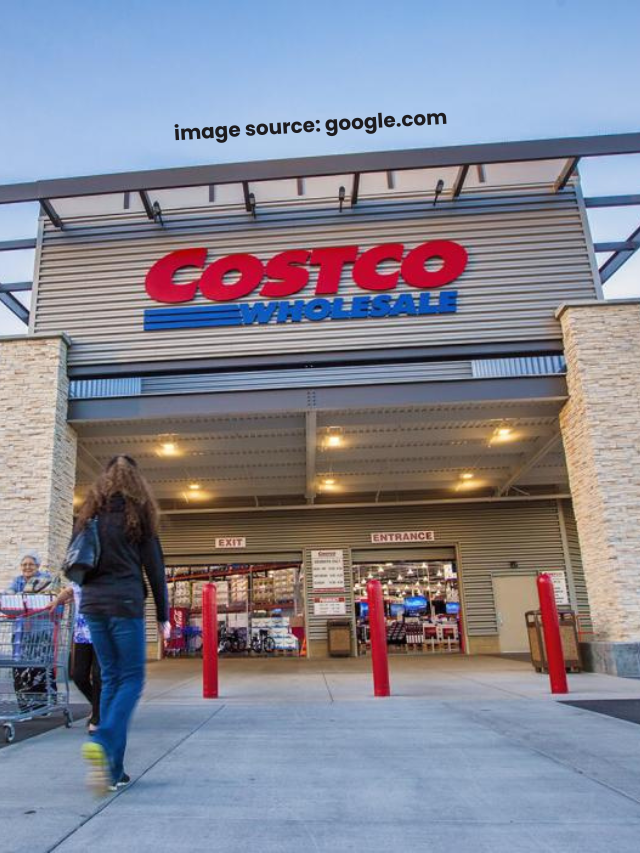 10 Costco Summer Find Turns Your Backyard Into a Mediterranean Oasis