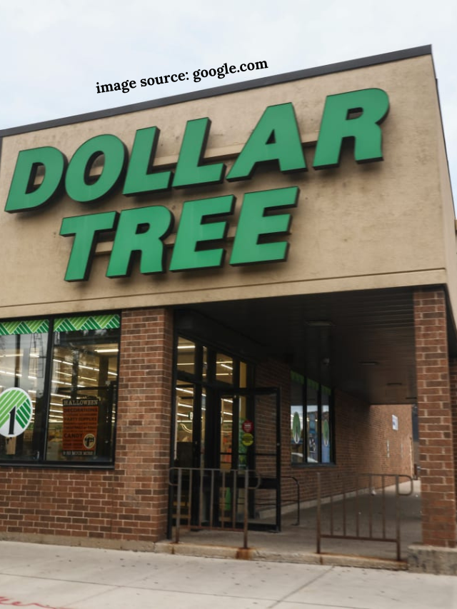10 Dollar Tree Best New Arrivals For Your Money in May