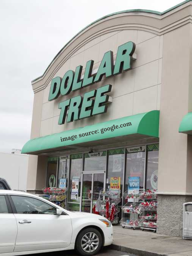 10 Dollar Tree Products That Beat Out Their Expensive Counterparts