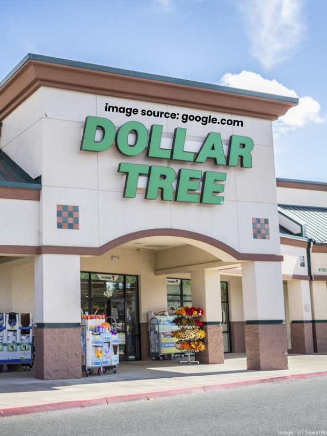 10 Easy DIY Dollar Tree Hack Is So Full of Summer Fun