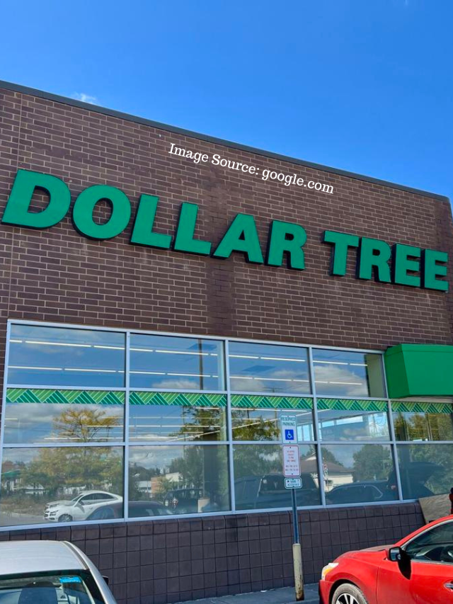 10 Things You Should Be Buying At Dollar Tree In June 2024