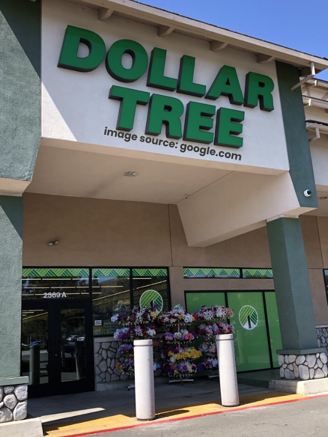 11 New Bee-Themed Finds at Dollar Tree Are Impossible to Resist