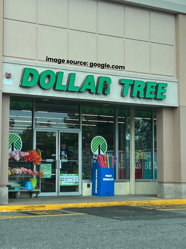 12 Hot Summer Items at Dollar Tree Right Now