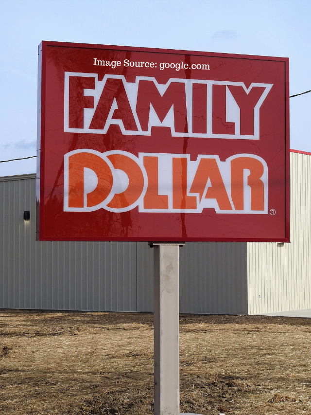 5 Best Expensive Looking Things You Can Buy At Family Dollar ...