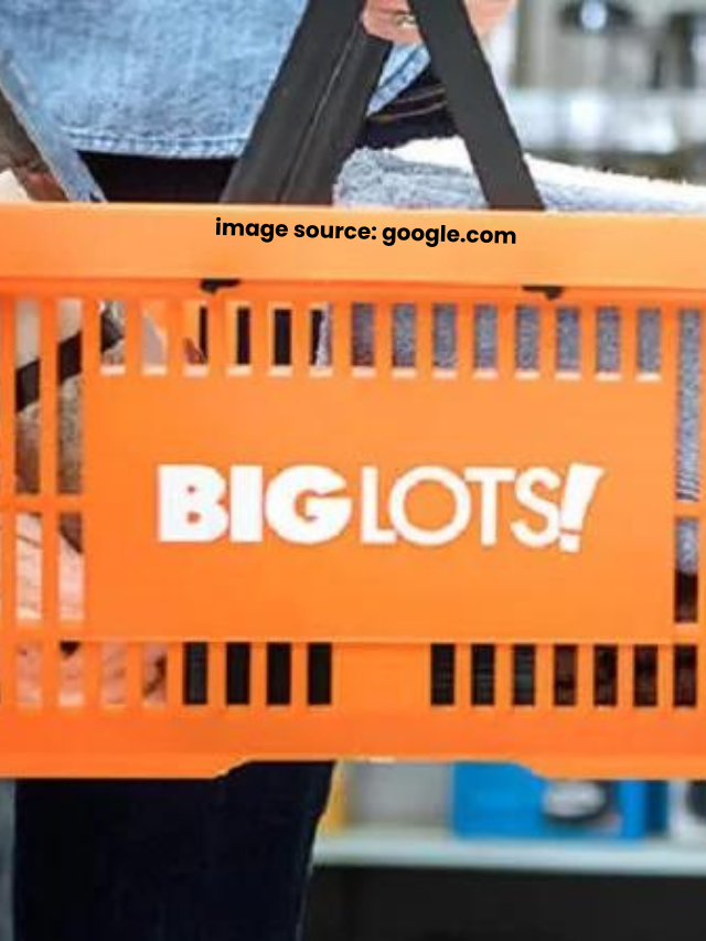 5 Big Lots Must-Have Outdoor Finds for Summer