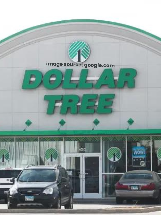 5 Dollar Tree Items To Buy To Save Money This Memorial Day