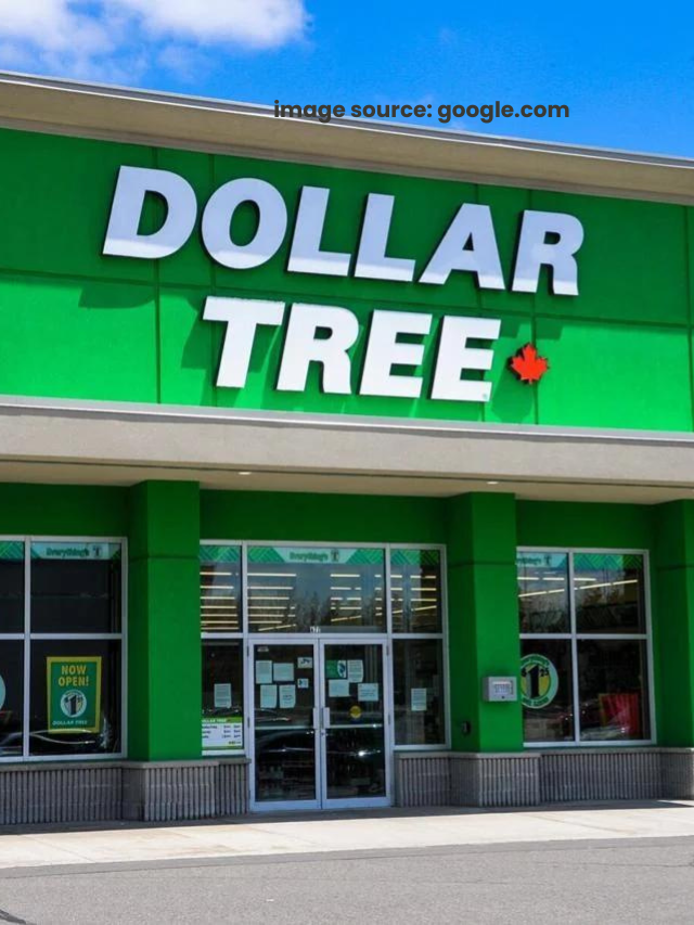 6 Items To Get at Dollar Tree for Memorial Day Weekend That Cost Way More at Target