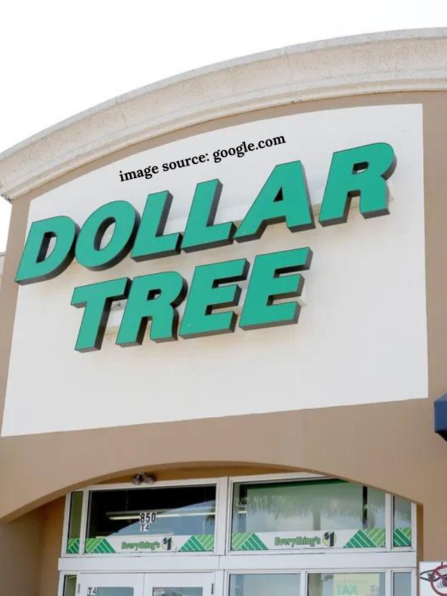 7 Budget-Friendly Dollar Tree Products to Boost Your Quality of Life