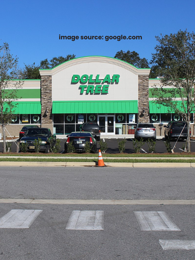 7 Things You Must Buy at Dollar Tree for Graduation Season