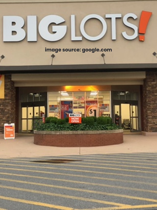 8 Expensive Big Lots Items That Are Definitely Worth the Cost