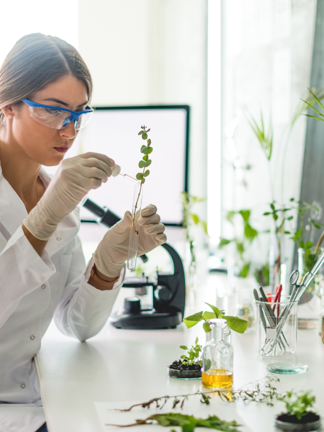 10 Best Biology Project Ideas For High School Students