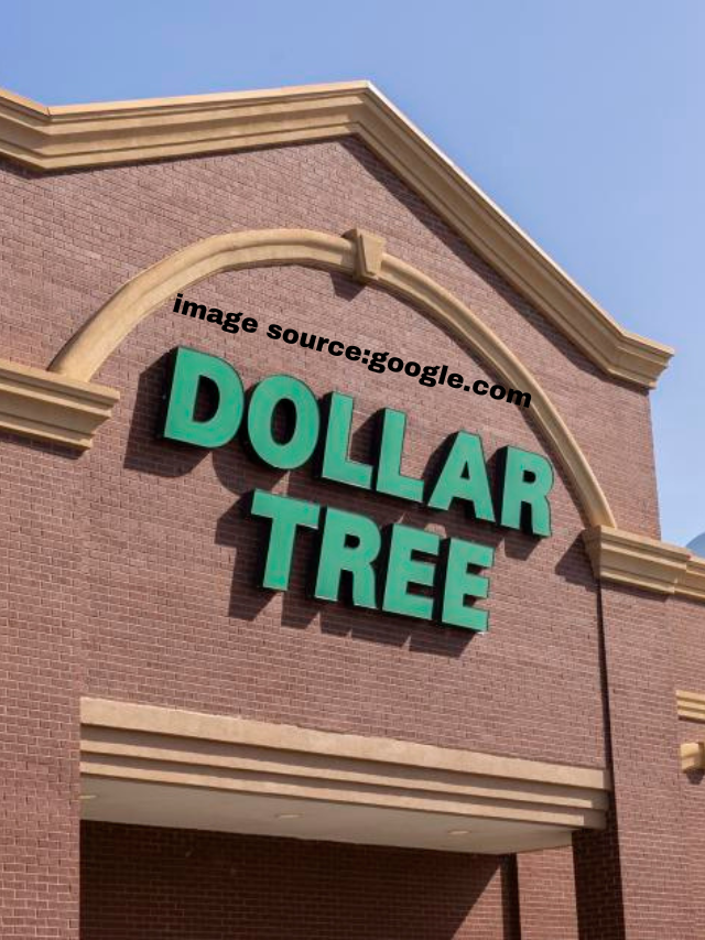 10 Budget Friendly DIY Dollar Tree Summer Decor Ideas