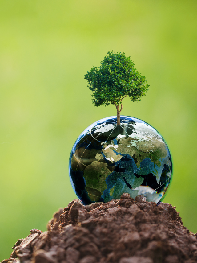 10 Ecosystem Project Ideas