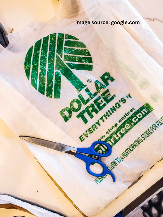 10 Things You Should Have Been Buying from the Dollar Store This Whole Time