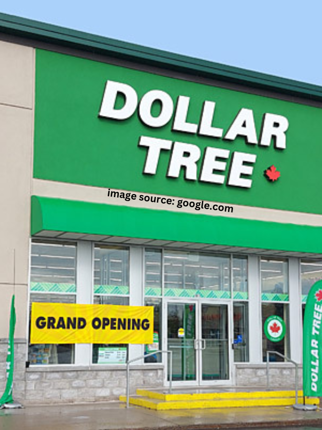11 Target Products You Can Find At Dollar Tree For Cheaper