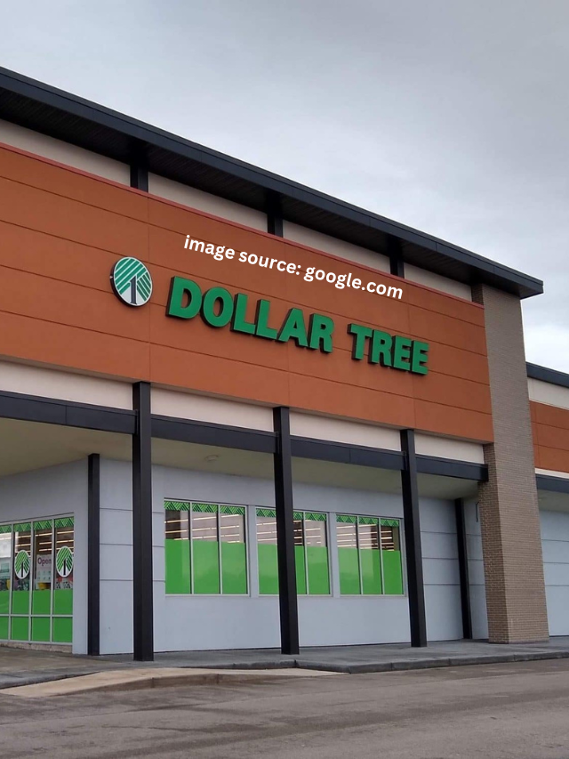 12 Summer Food Items To Buy at Dollar Tree To Save Money