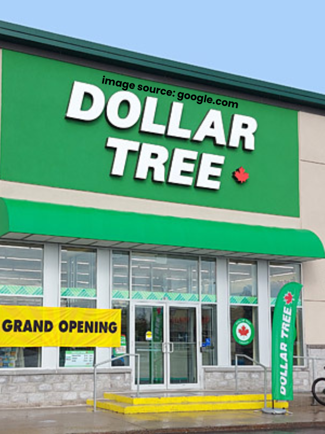 5 Cheap Dollar Tree Cleaning Finds No Renter Should Be Without