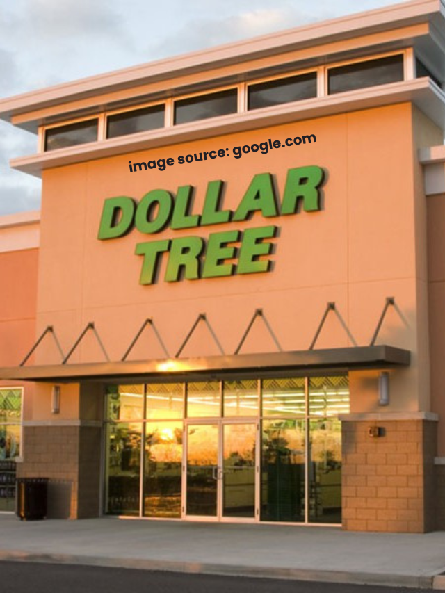 5 Things You Should Be Buying at Dollar Tree in Summer 2024