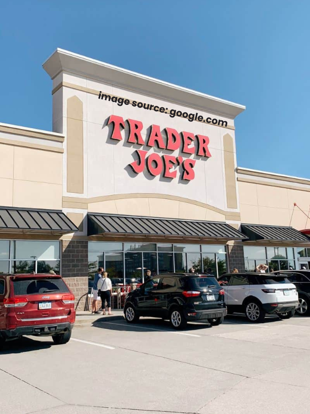7 Best Home Decor Finds at Trader Joe’s