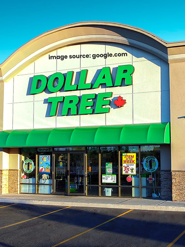 7 Cheap Dollar Tree Items To Buy For Summer