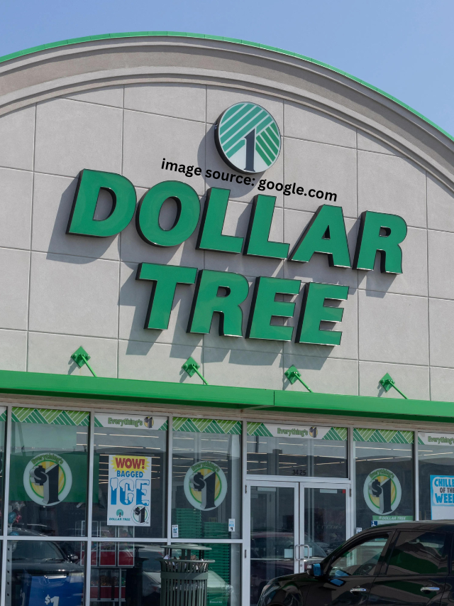 7 Outdoor Dollar Tree Items To Save Money on Your Yard This Summer