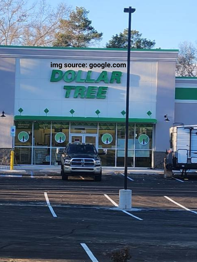 8 Things I Love To Buy From Dollar Tree Every Month