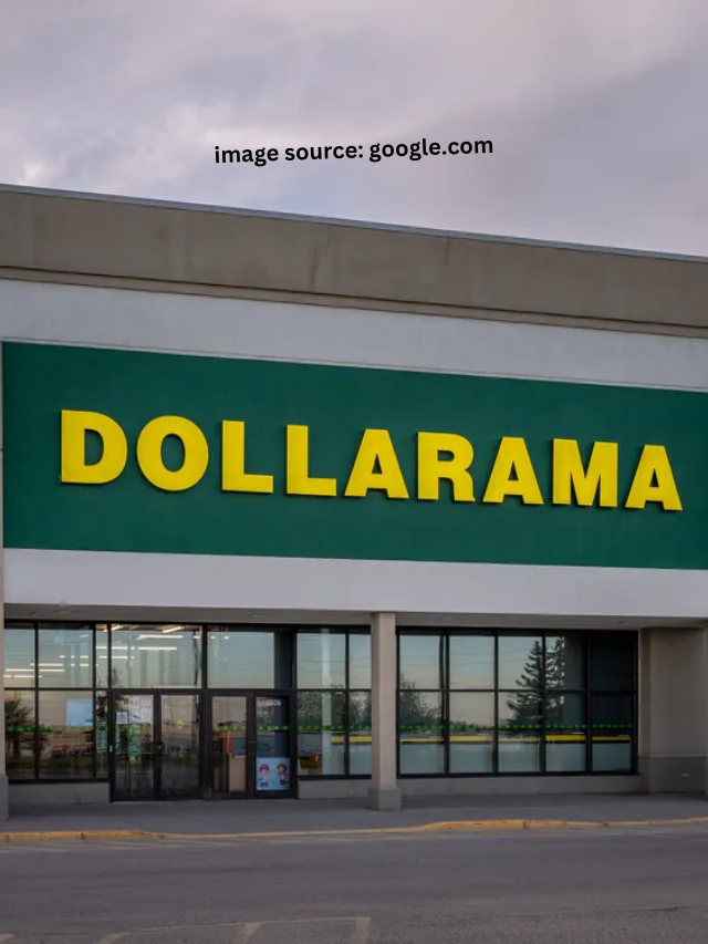 9 Dollarama items that are seriously high-quality products
