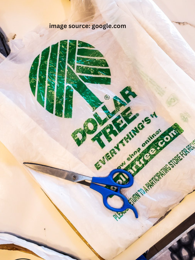Dollar Tree: 10 Best New Arrivals for Your Money in July
