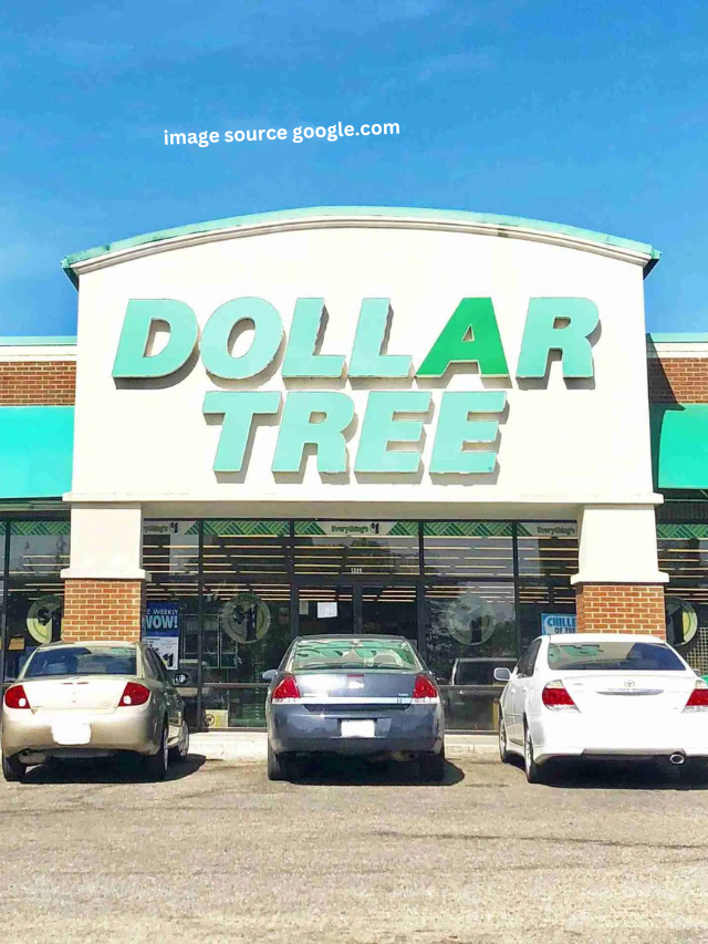 10 Summer Staples You Surprisingly CAN’T Buy at Dollar Tree