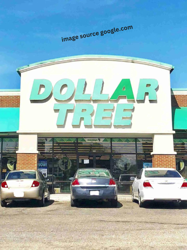 5 Best New Arrivals at Dollar Tree for Your Money in August