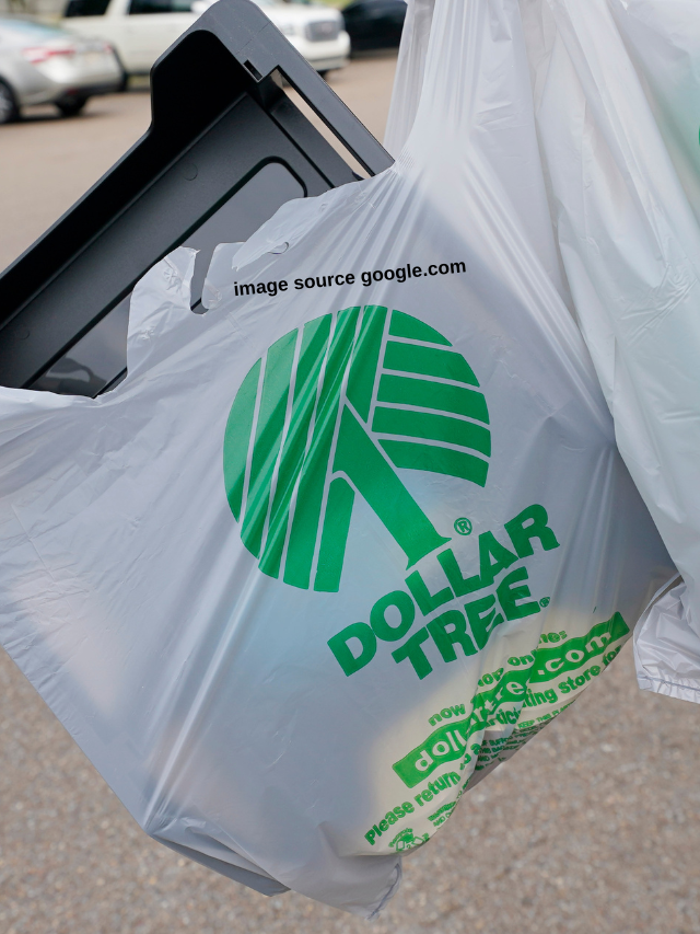 5 New Dollar Tree Items That Are So Good To Buy