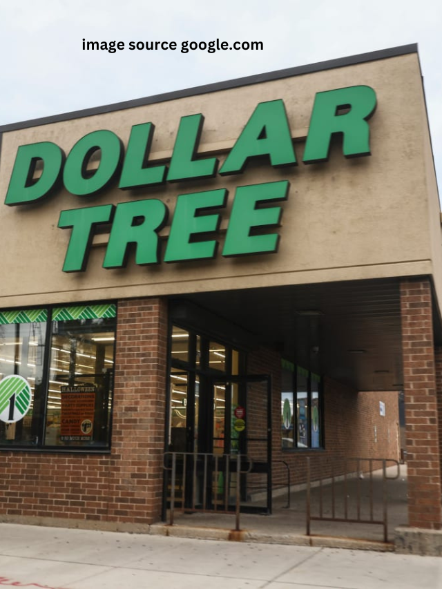 6 Kitchen Gadgets To Buy at Dollar Tree This Summer