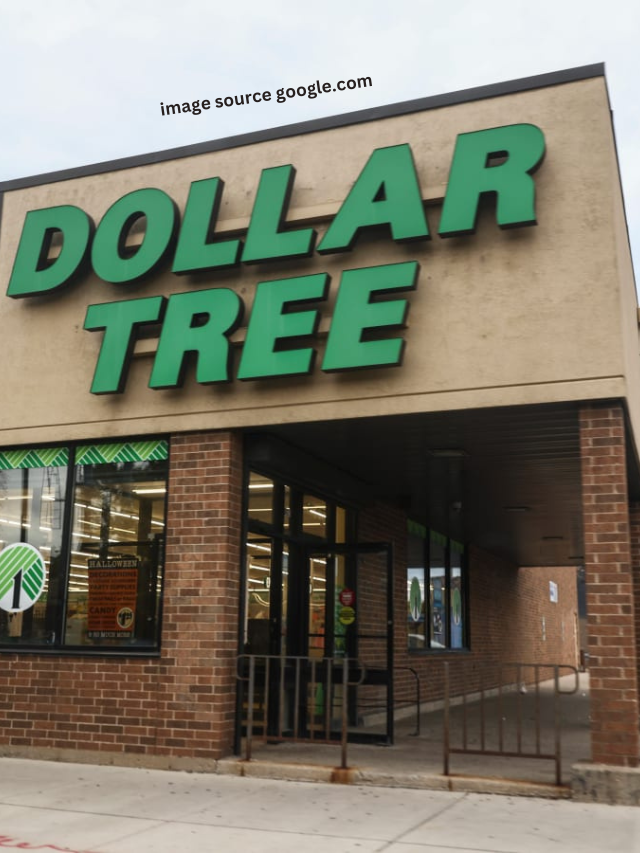 6 Kitchen Products To Buy At Dollar Tree This Summer