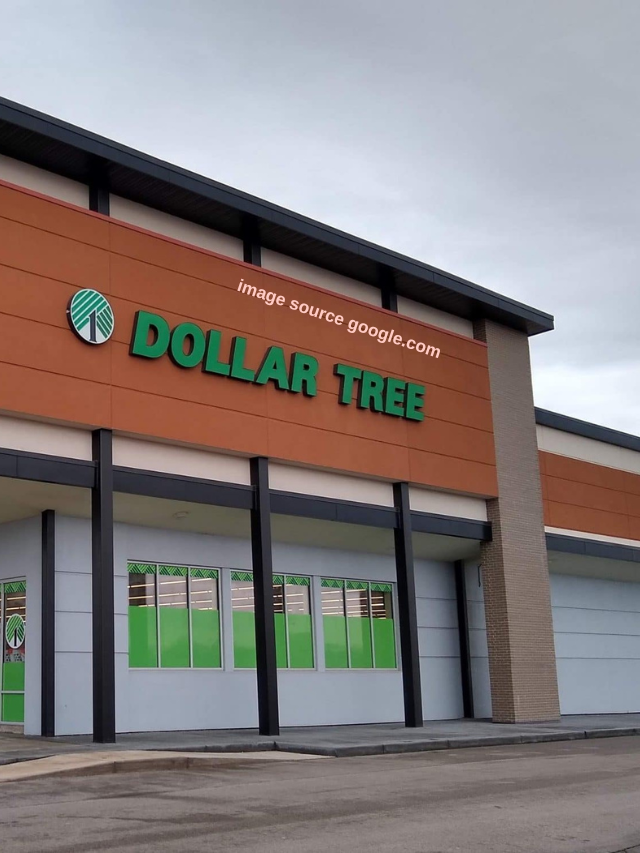 8 Dollar Tree Grocery Finds I'm Stocking in My Pantry This Summer