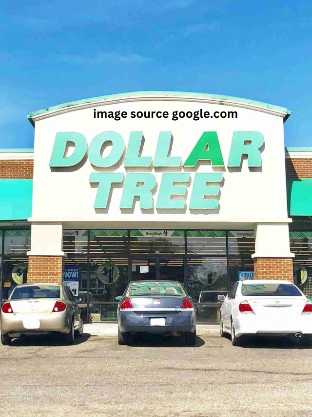 Dollar Tree: 7 New Items You Might Want to Avoid in July