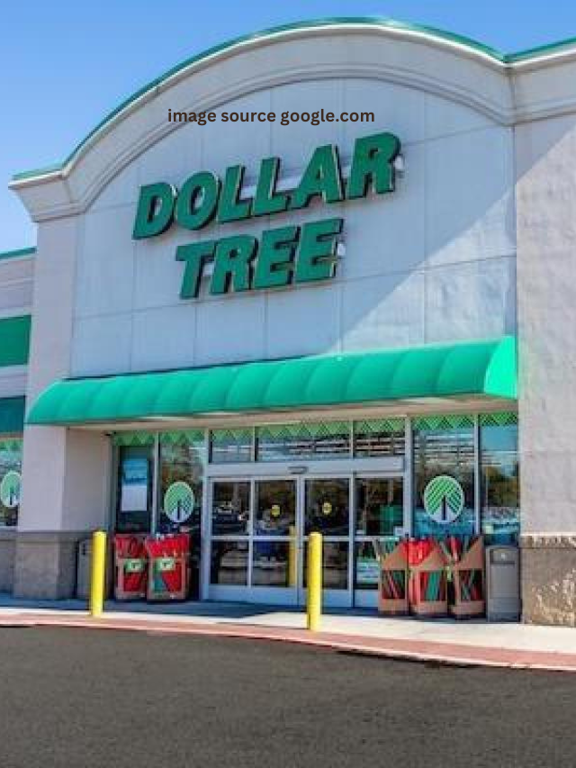10 Best Dollar Tree Items on Home Decor for Fall