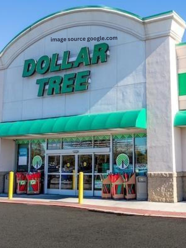 6 Kitchen Products To Buy at Dollar Tree This Fall