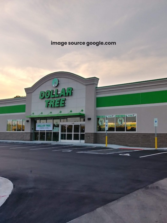 7 Dollar Tree Items Retirees Need To Buy Ahead of Fall 2024