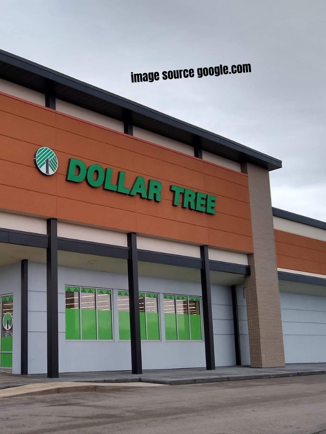 8 Items Worth Buying Year-Round at Dollar Tree