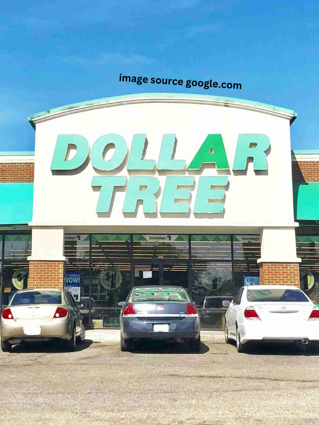 9 Items to Splurge, Settle or Skip at Dollar Tree