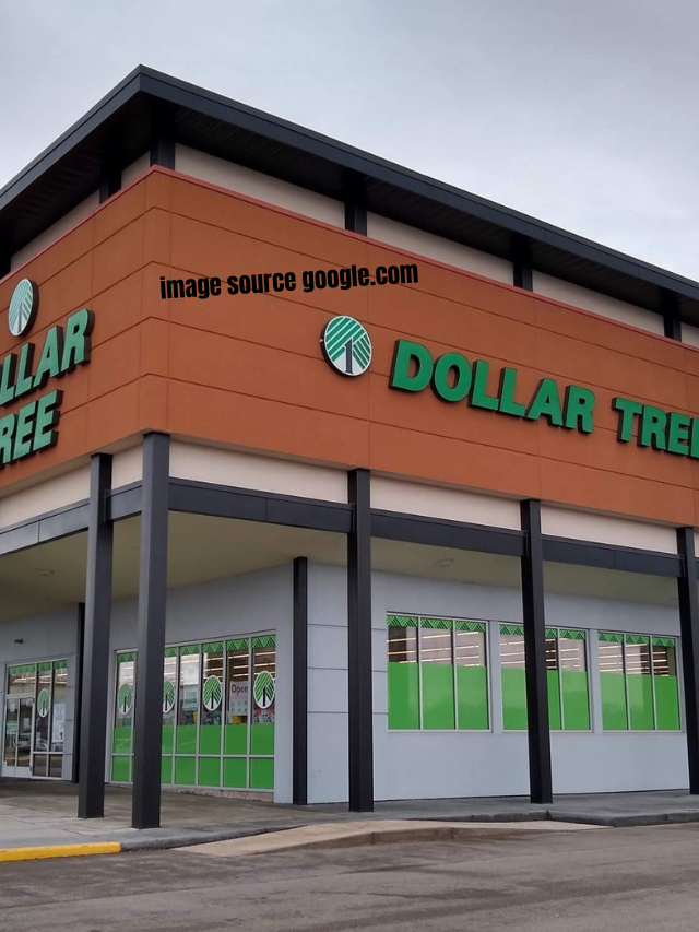 8 Dollar Tree Items That the Wealthy Are Buying in 2024