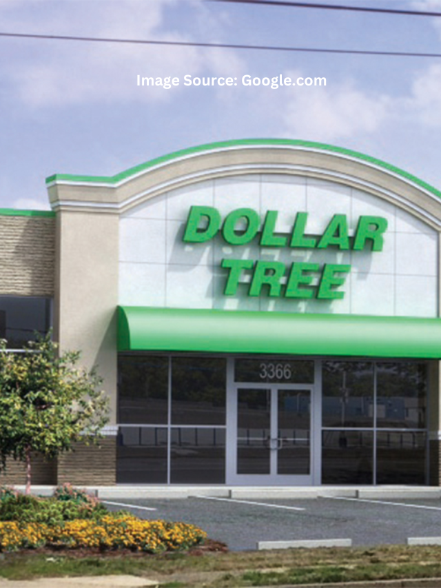 10 Cheap Seasonal Items at Dollar Tree Only Available in the Fall