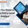 Entry Level Data Analyst