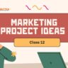 Marketing Project Ideas Class 12